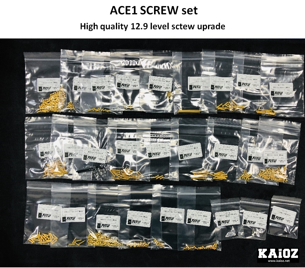 ACE1 SCREW set_02.jpg