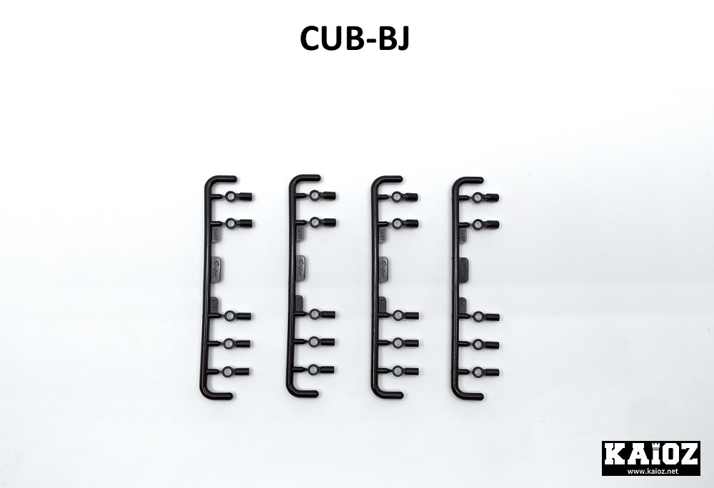 CUB-BJ_01.jpg